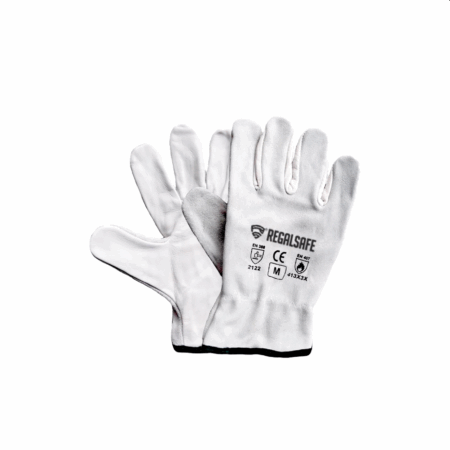 REGALSAFE G-610