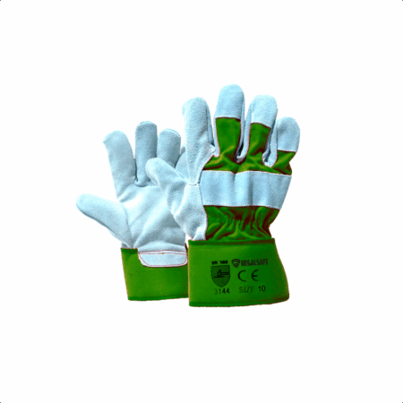 REGALSAFE G-450