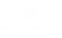bayraktar